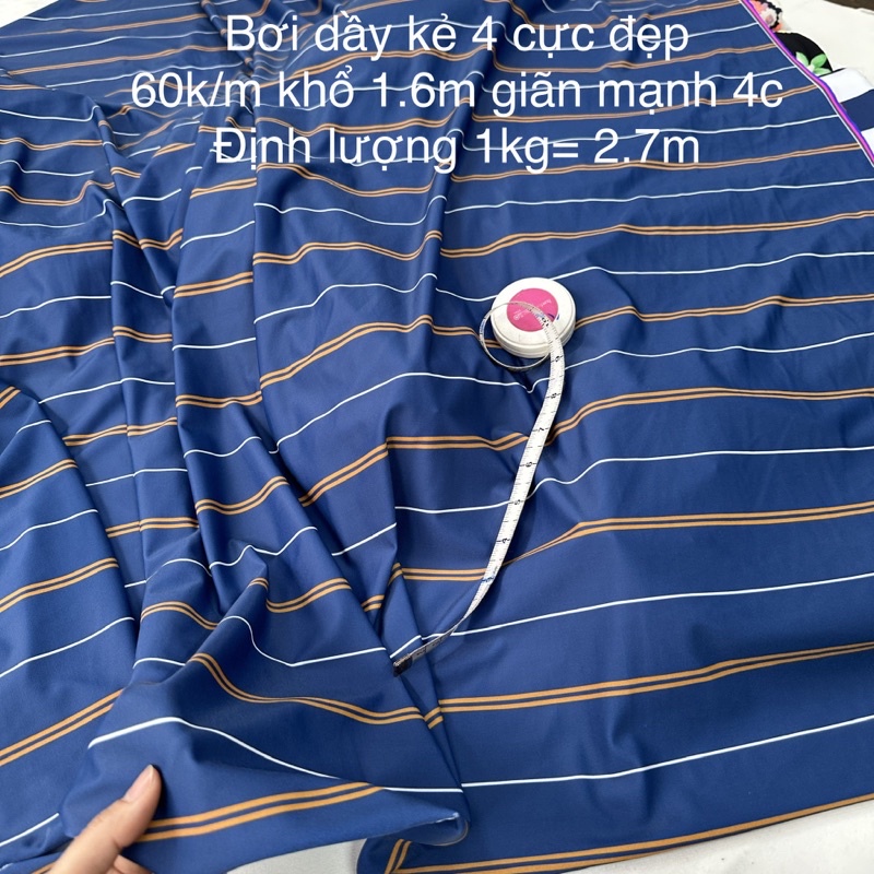 Vải Bơi , vải may đồ bơi, Bikini Hàn Quốc_Vải có độ bóng lấp lánh của nhũ, may đồ tập thể thao, đồ biểu diễn