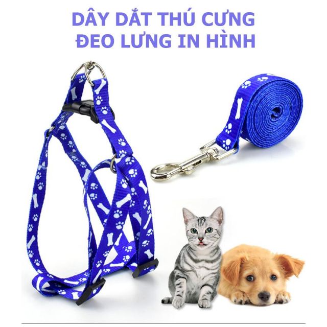 Dây Dắt Thú Cưng, Chó, Mèo có Yếm, chắc chắn, Bền, thoải mái khi đeo, Giá rẻ, dây xích, dây xích chó