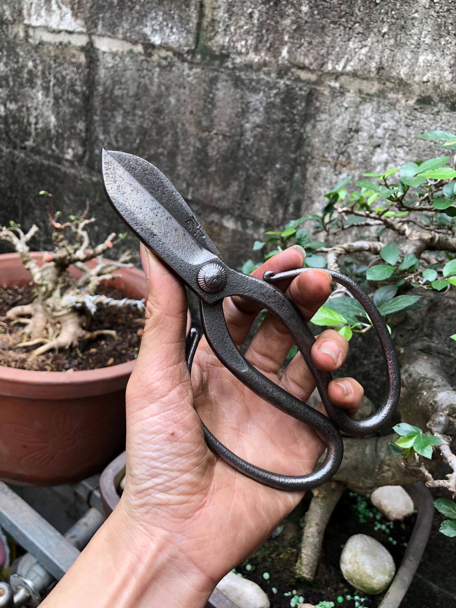 Kéo Cắt Tỉa Thép Trắng Đúc Cao Cấp