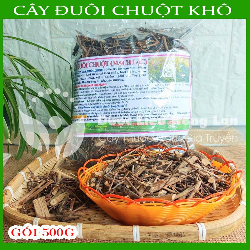 [FreeshipMAX] Dược liệu CÂY ĐUÔI CHUỘT khô đóng gói 500g - congtyduoclieuhonglan