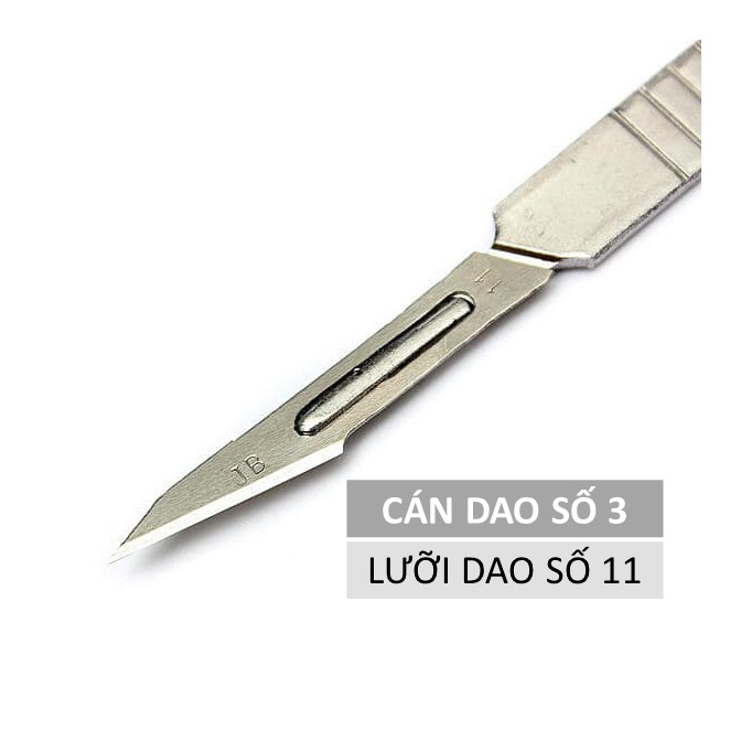 Cán dao mổ y tế số 3 (Kèm 50 lưỡi dao mổ thích hợp)