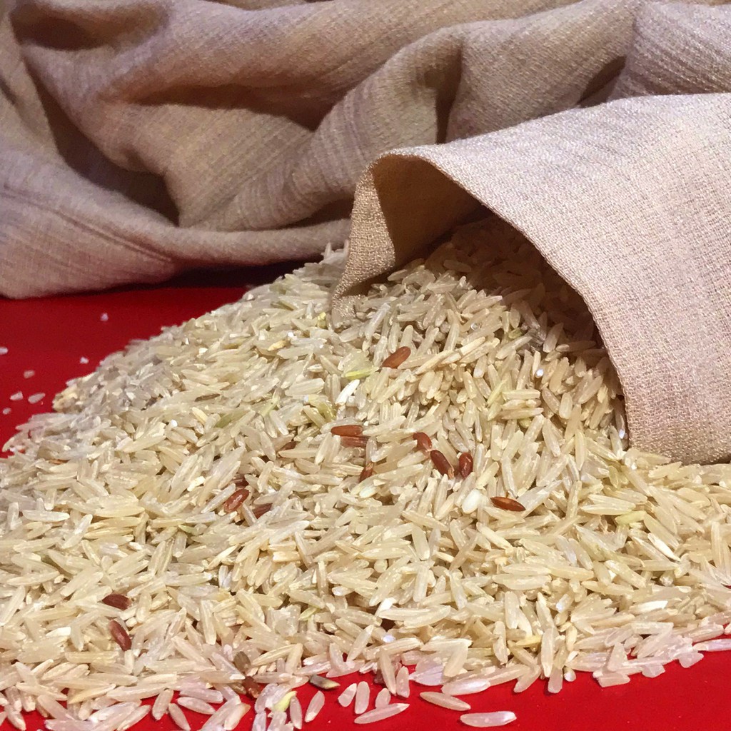 Gạo Lứt ST25 Lúa tôm Túi 1kg thượng hạng