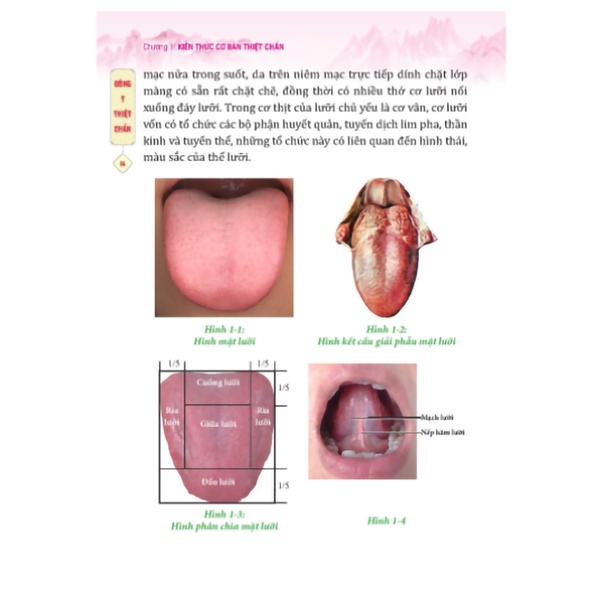 Sách - Đông y thiệt chuẩn - tái bản