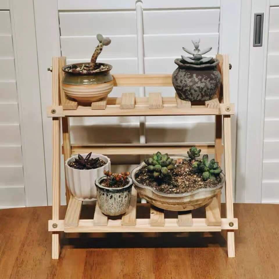 [HCM]Kệ 2 tầng nhỏ trưng bày cây cảnh sen đá