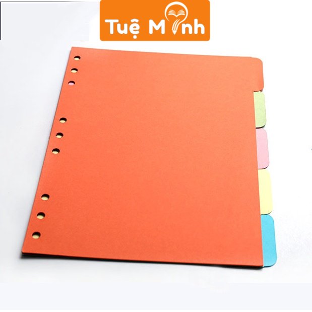 Set 5 tab phân trang A5 màu Pastel trơn bìa cứng, VPP TUE MINH tab bìa mục cho sổ còng P05