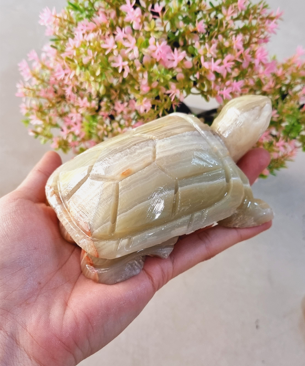 [HCM](Chọn màu) Cụ Rùa bằng đá tự nhiên size 12cm