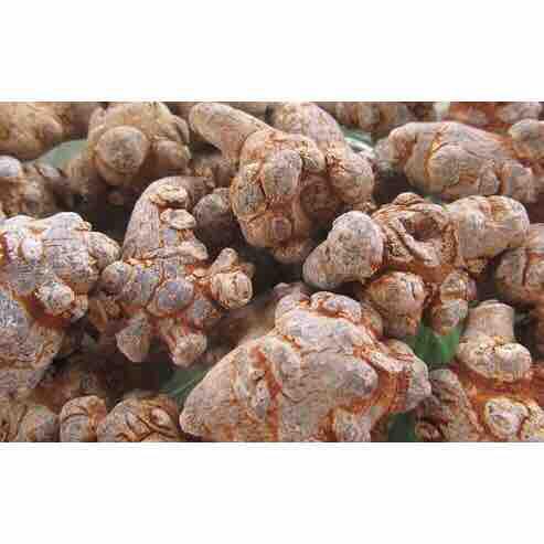 500gram bột tam thất bắc