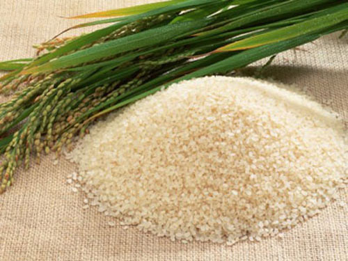 Cơm tự sôi Tiêu Chiến - Gà cung bảo