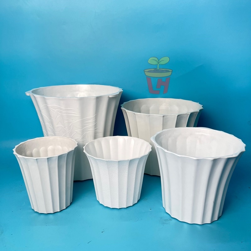 Chậu nhựa trồng cây , Chậu mini trồng sen đá