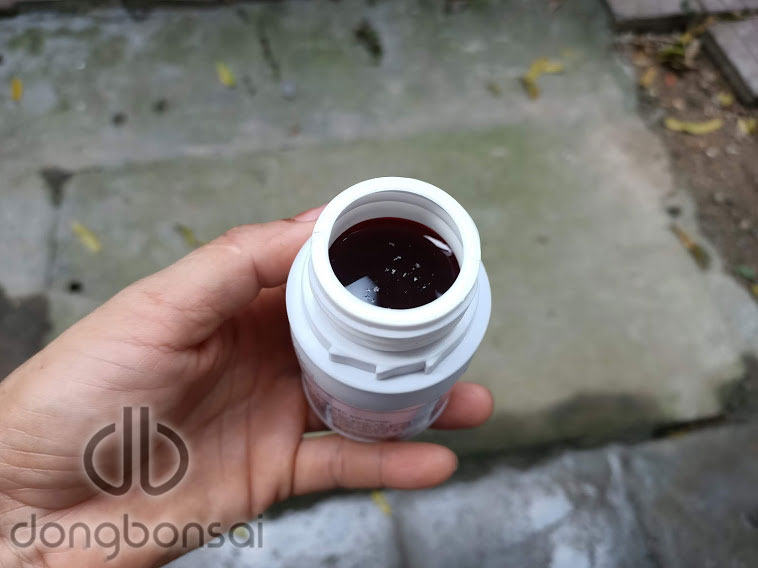 Combo 5 Chai dung dịch bôi lũa bonsai 150ml