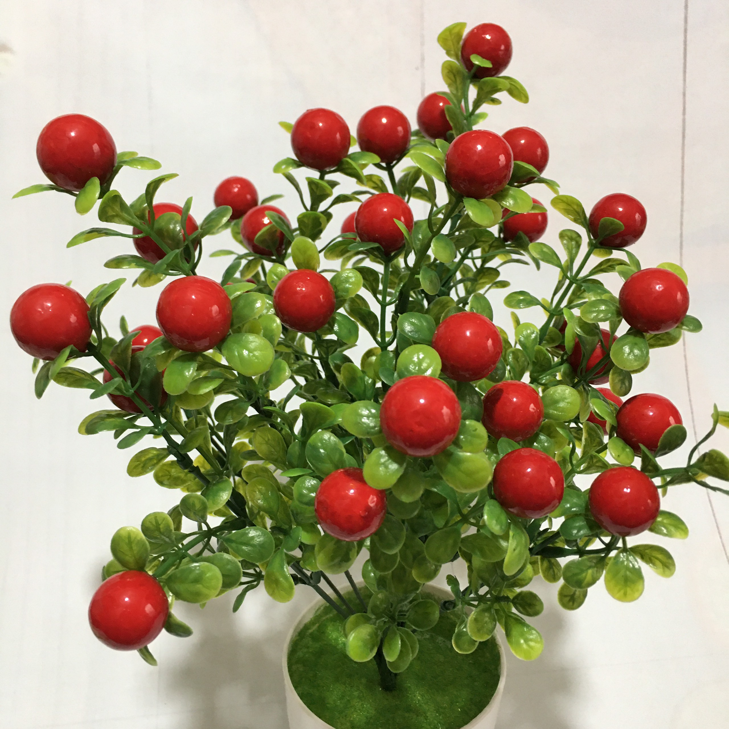Cây nhựa chery đỏ - Cây Nhựa Cao Cấp
