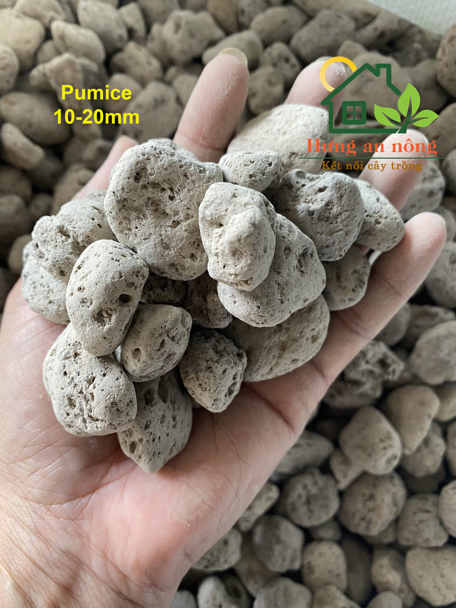1kg - Đá Pumice xám, đá lông vũ , đá bọt nhập khẩu Indonesia size trồng sen đá xương rồng bonsai các loại, có 3 size