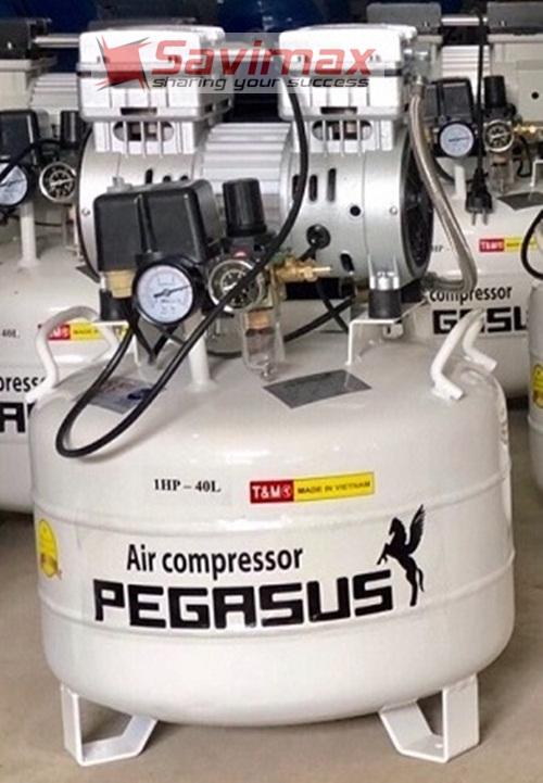 Máy nén khí không dầu Pegasus TM-OF750