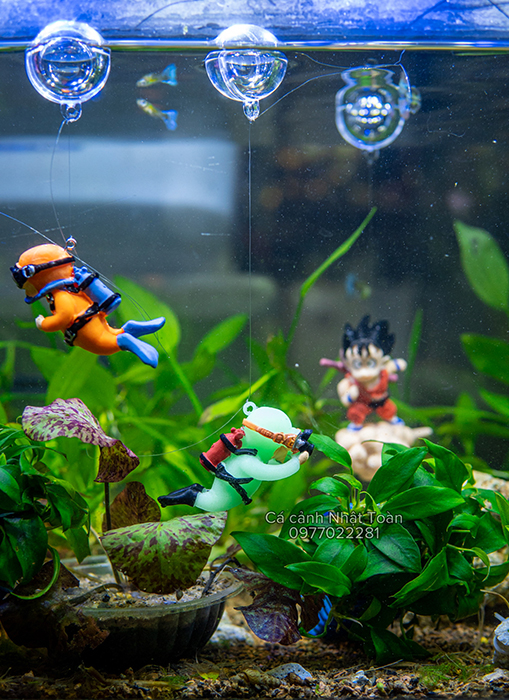 Best Anime Fish Tank Decorations To Spice Up Your Aquarium