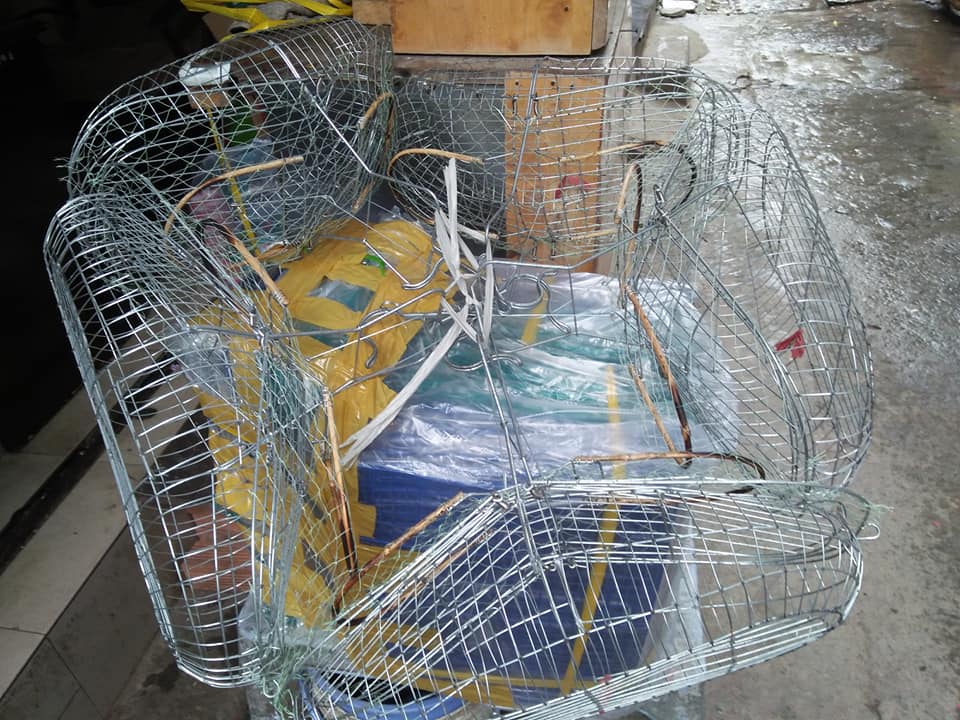 Lồng bẫy chim chích chèo lửa