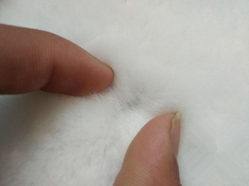 Lông cừu đánh bóng  3 MM 1 tất 5