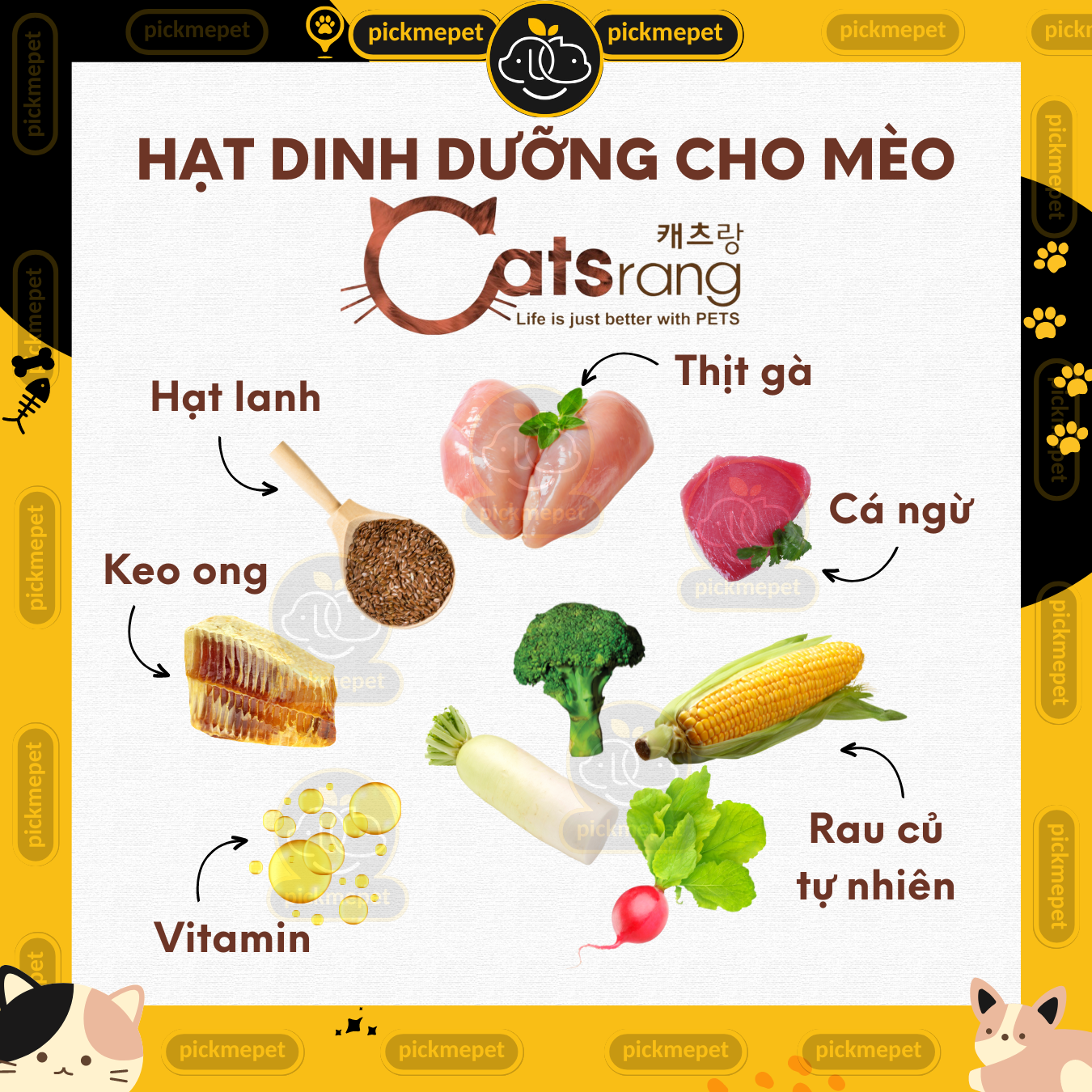 Hạt Catsrang Cho Mèo Mọi Lứa Tuổi 5kg