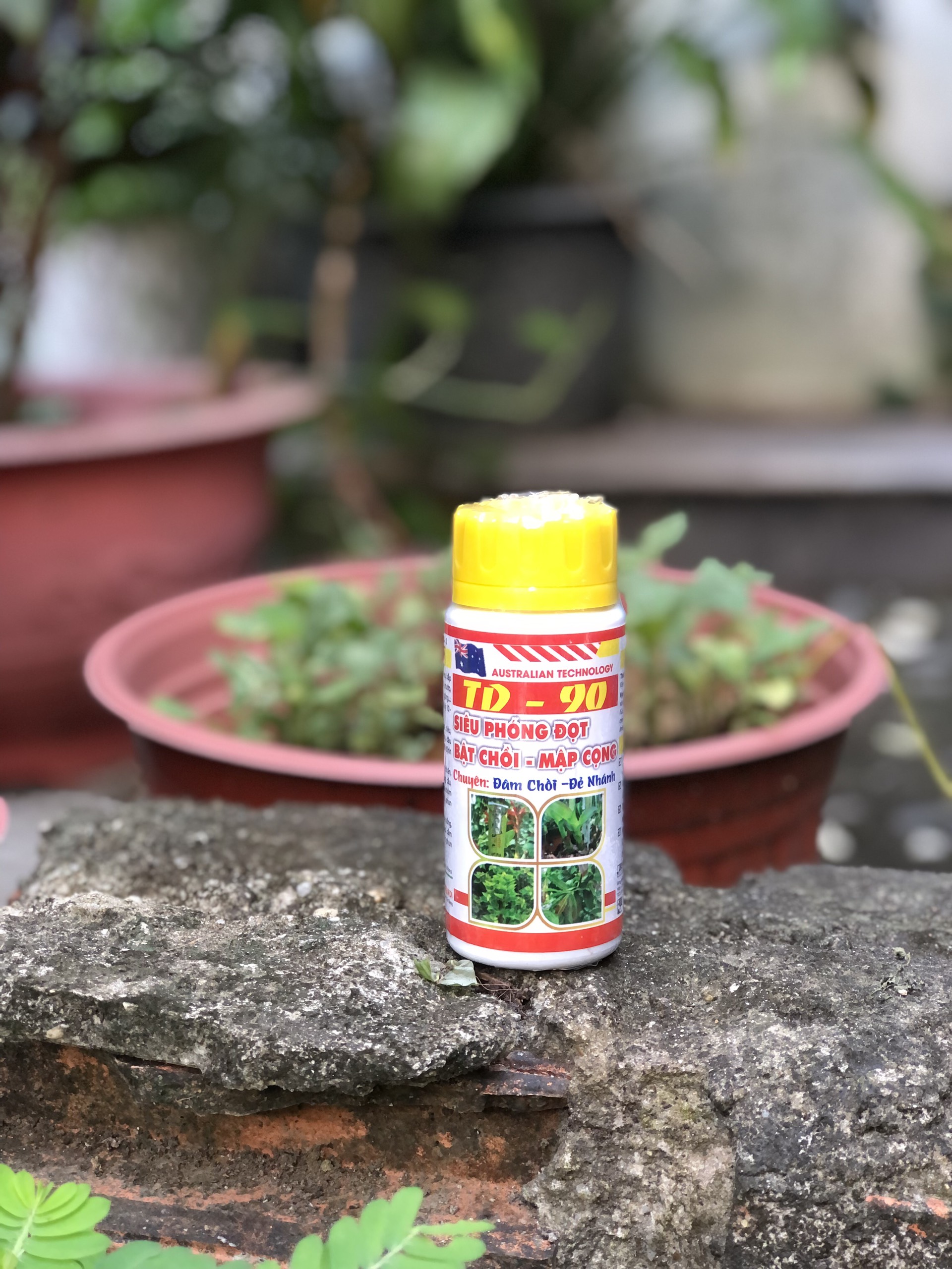Siêu phóng đọt bật chồi mập cọng TD 90-Úc -100ml