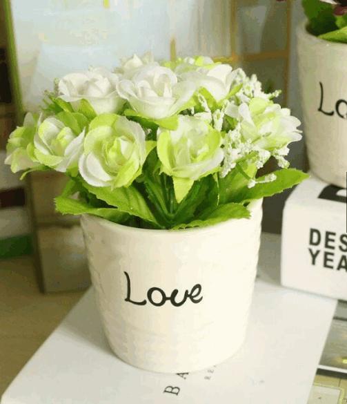 Chậu hoa love mini để bàn hoa nở