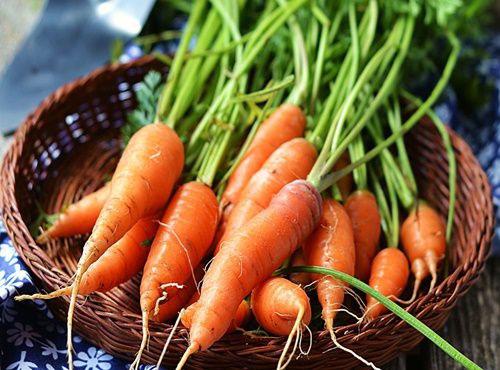 Hạt Giống Củ Cà Rốt