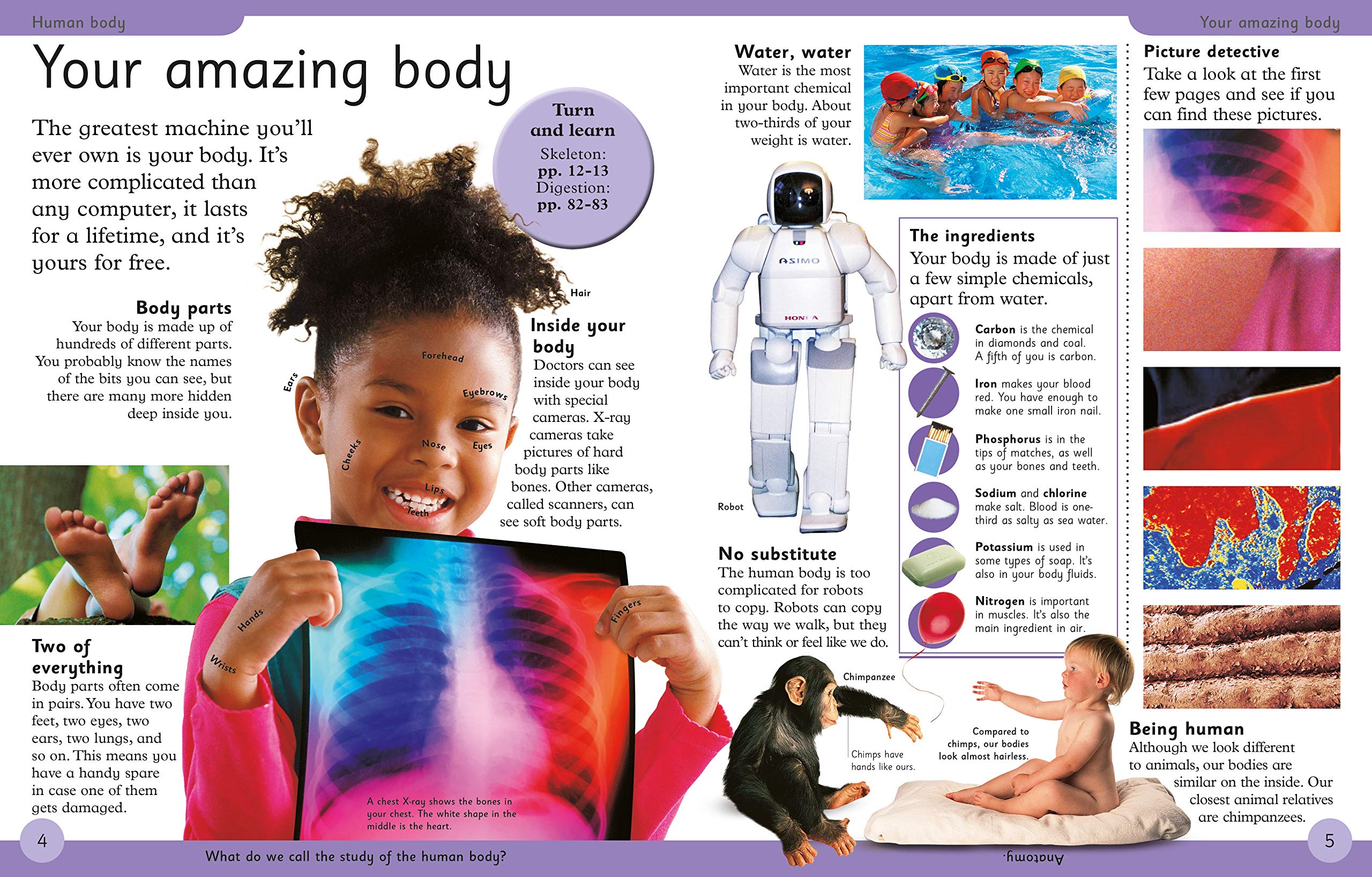 Sách First Human Body Encyclopedia - Á Châu Books