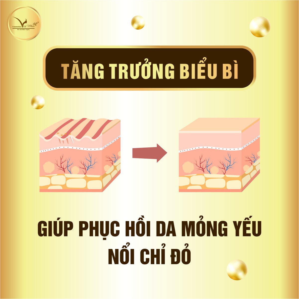 Kem Chống Nắng Vip White