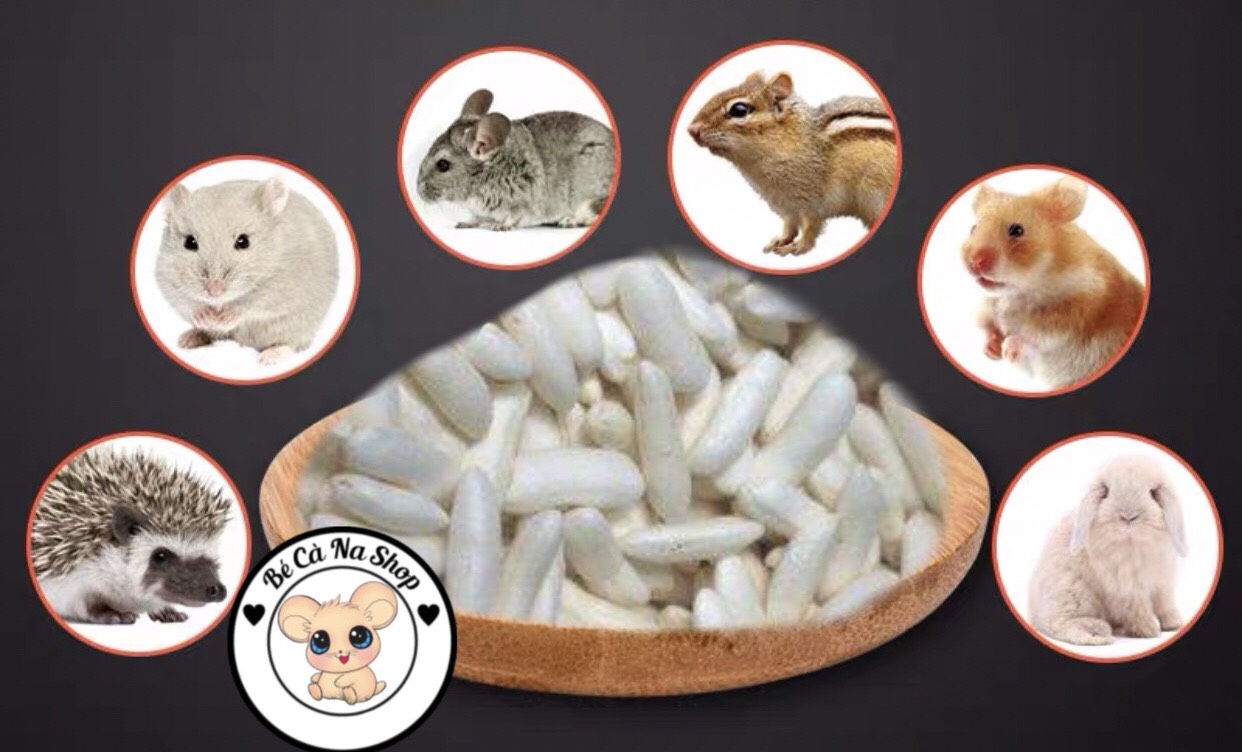 cốm gạo , bỏng gạo cho hamster