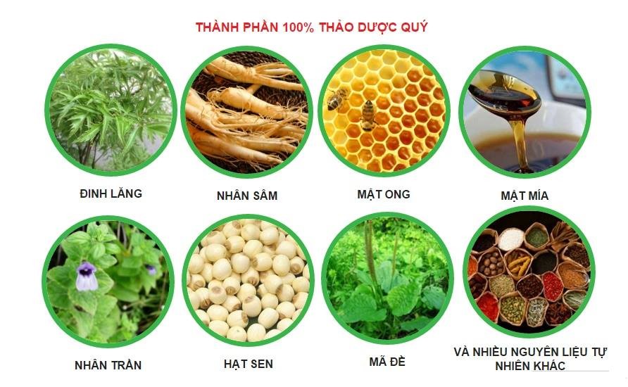 Thảo mộc tăng cân Hoàn Hồng Sâm