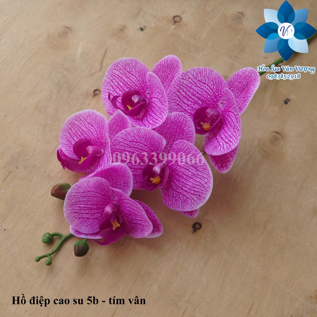 Hoa Lụa 🌺FREESHIP🌺 Lan Hồ Điệp Cao Su 5 Bông