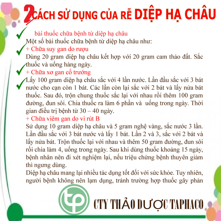 [Large Bag of 500 Grams] Dried Diep Ha Chau - Ton Phat - High Quality First Class Product