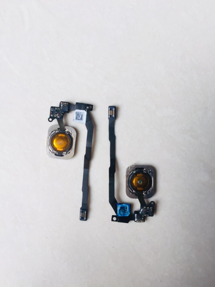 Đệm nút home iphone 5S