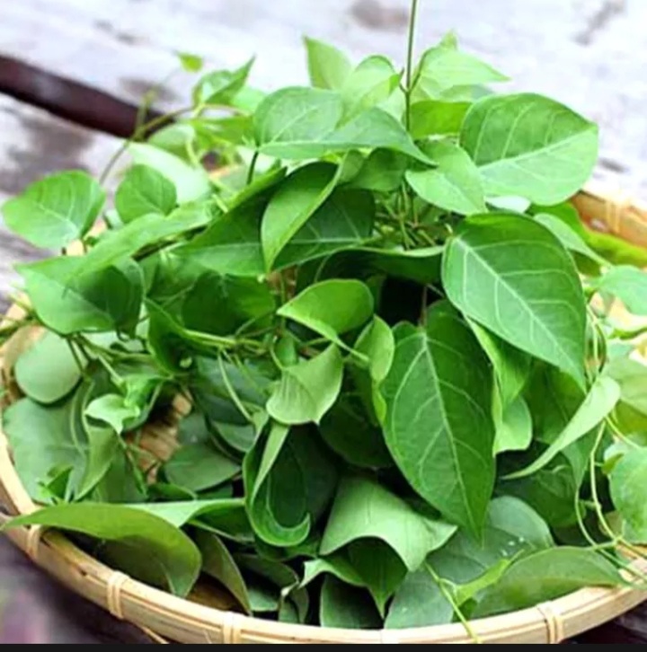 ( HCM ) Hạt giống Lá Giang 5 hạt