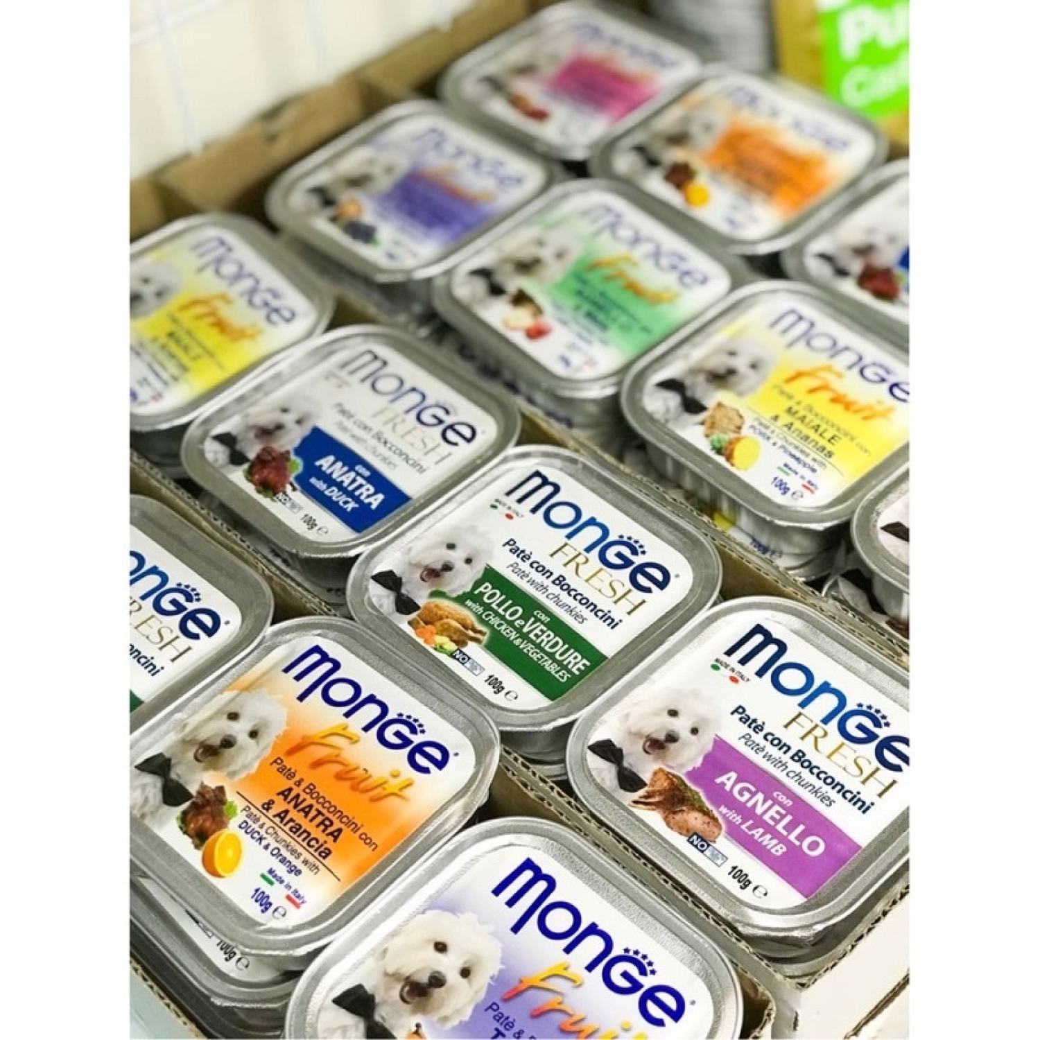 [ Chính Hãng 💯 ] Pate MONGE cho chó 100gr - MADE IN ITALY 🇮🇹