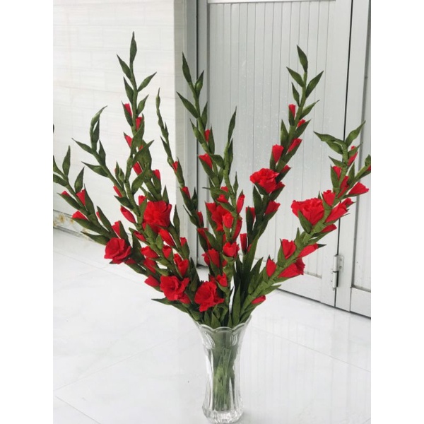 Củ Hoa lay ơn handmade/hoa huệ đỏ bao nảy mầm.