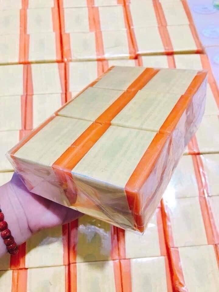 sap nghệ