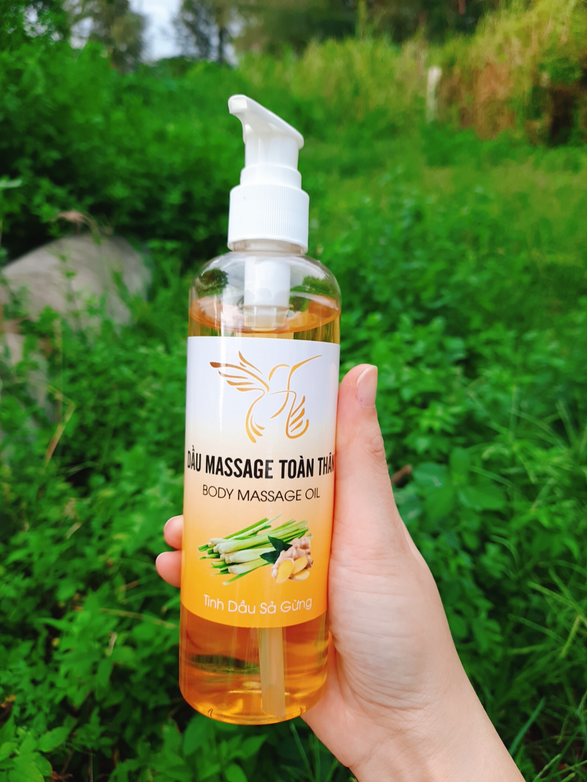 Dầu massage gừng 250ml