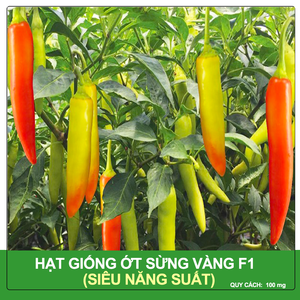 Hạt Giống Ớt Sừng Vàng Châu Phi (Africa) Siêu Cay, Siêu Năng Suất 100 mg