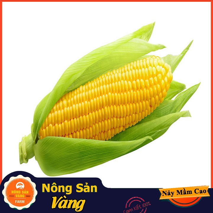 Hạt giống Bắp Mỹ (Ngô Mỹ) ( Gói 10 Gram ) - Nông Sản Vàng