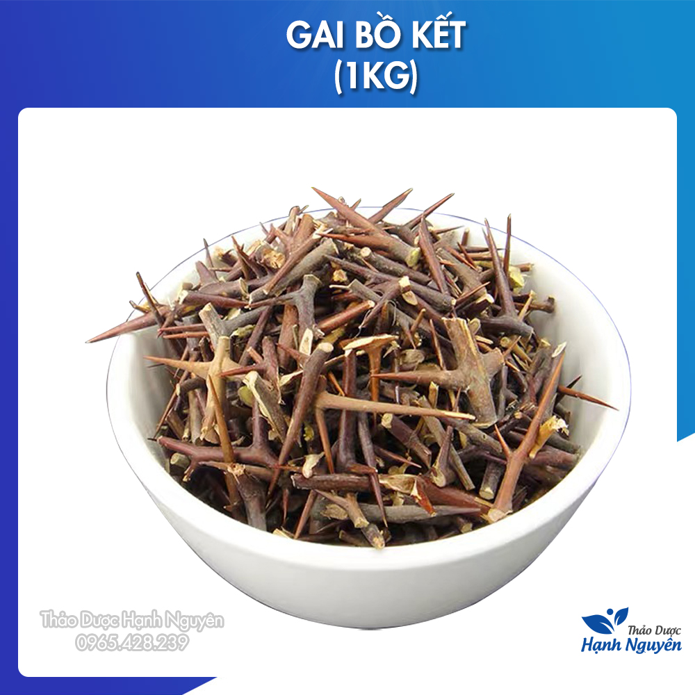 Gai bồ kết khô 1kg