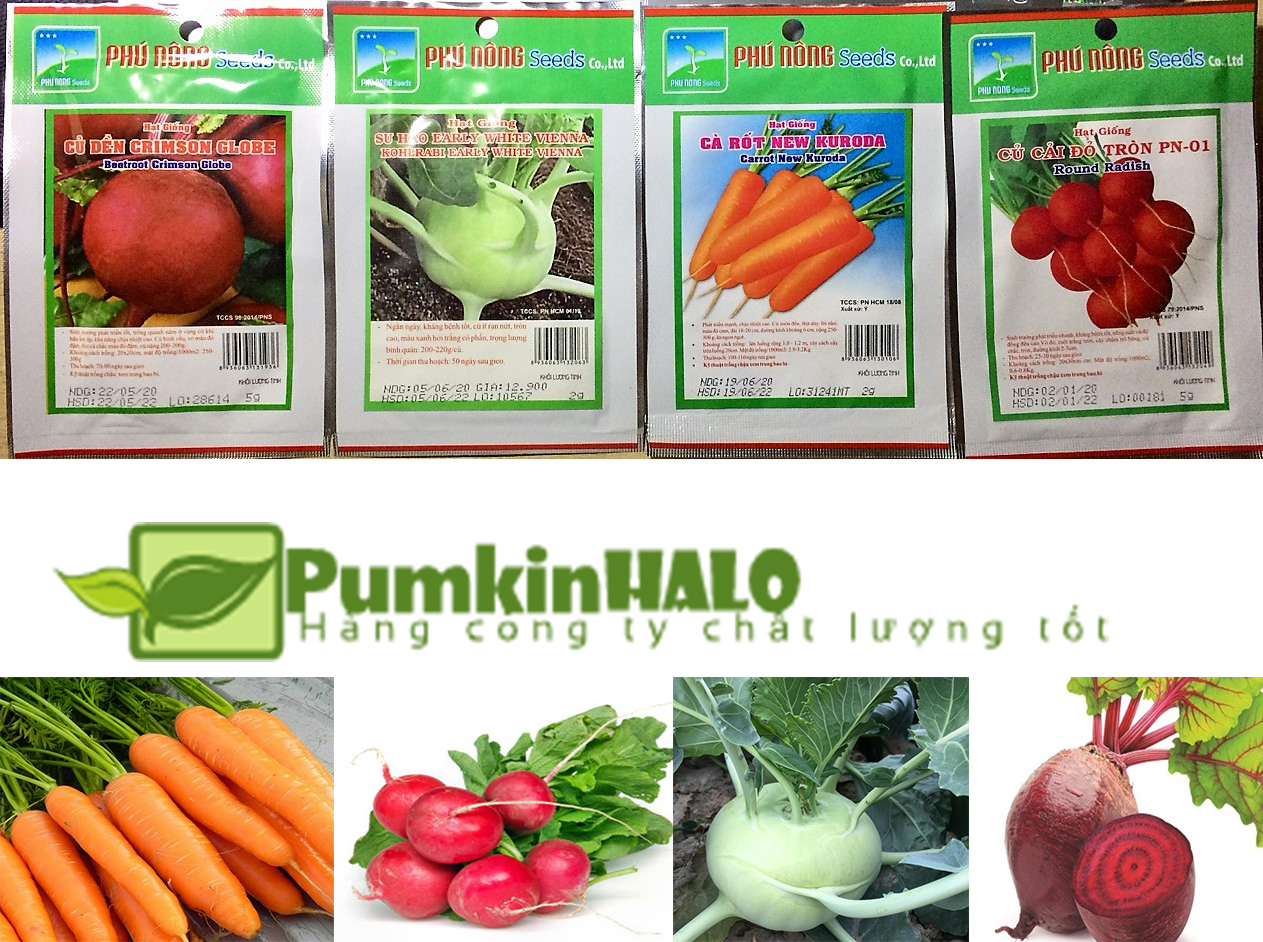 Combo 4 gói hạt giống củ -su hào -cải đỏ-dền-cà rốt Phú Nông giàu dinh dưỡng -hàng công ty chất lượng cao