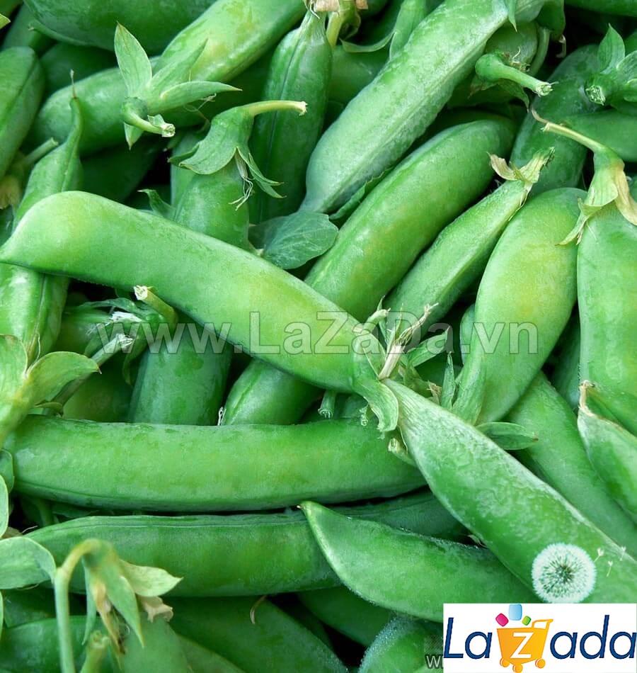 5Gr Hạt Giống Đậu Hà Lan Leo Siêu Ngon Sugar Snap (A2.303| W1*W53*M026)