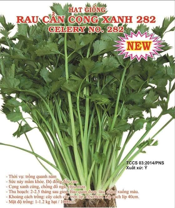 hạt giống rau cần cọng xanh
