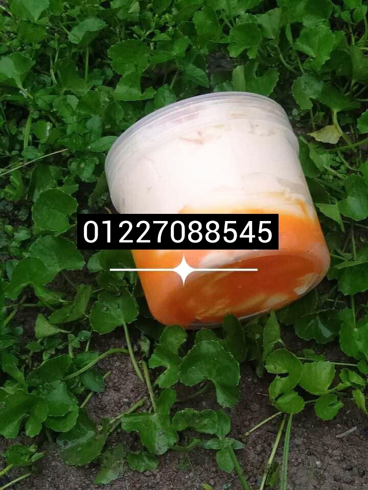 [HCM]hũ 500gr kem body cốt thái mix