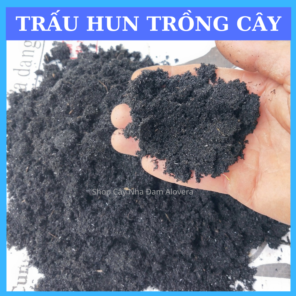 Trấu Hun Trồng Cây (tro trấu)