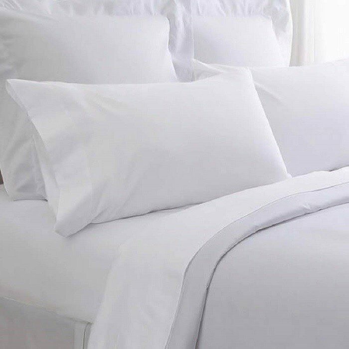 ruột chăn khách sạn 2x2,2m