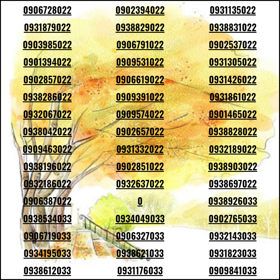 [HCM]Sim số đẹp 4 phương sảnh tiến đẹp