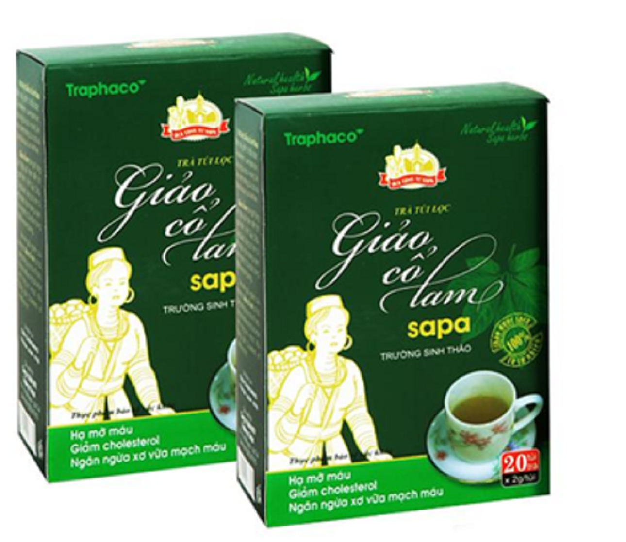 TRÀ TÚI LỌC GIẢO CỔ LAM- Traphaco Sapa