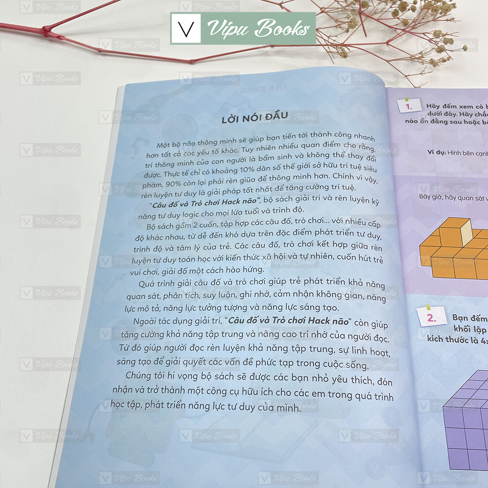 Sách - Trò Chơi Hack Não - Khám Phá Tiềm Năng Con Trẻ ( Giúp Bé Phát Triển IQ )