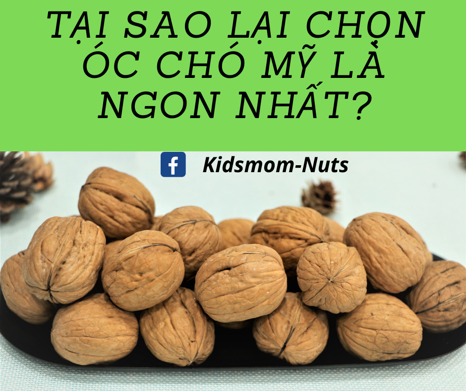 QUẢ ÓC CHÓ CAO CẤP LOẠI I- 500gr