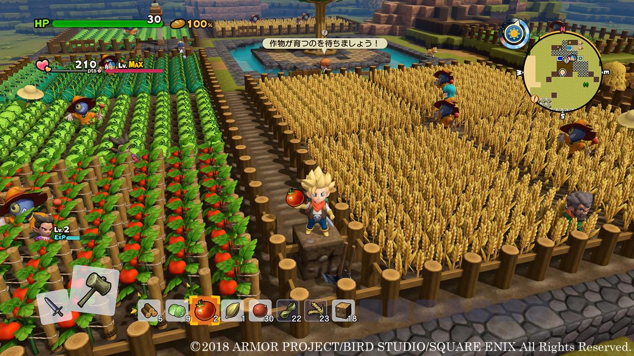 Đĩa game Nintendo Switch : Dragon Quest Builders 2